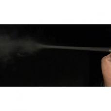 クレイジージェットインナーバレル【ver.2】 電動ガン対応 300mm [取寄]