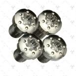 1911トルクスグリップスクリュー/T10/ステンレス製/4個入 [S05-182SS] [11月中旬入荷予定.単品予約]