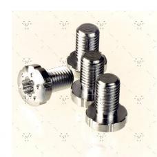 1911トルクスグリップスクリュー/T10/ステンレス製/4個入 [S05-182SS] [11月中旬入荷予定.単品予約]